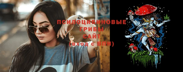 таблы Новозыбков