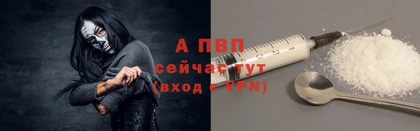 таблы Новозыбков