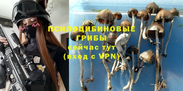 таблы Новозыбков