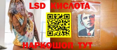 PSILOCYBIN Заволжье