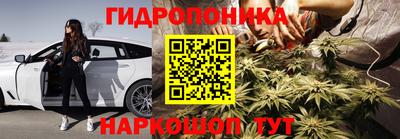 PSILOCYBIN Заволжье