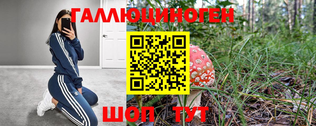 Галлюциногенные грибы GOLDEN TEACHER  наркошоп  Псилоцибиновые грибы GOLDEN TEACHER  Челябинск 