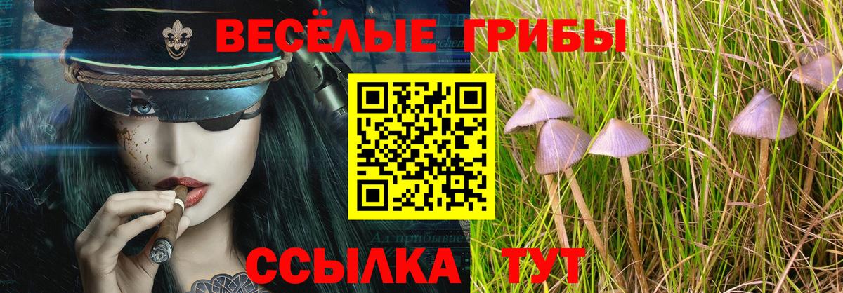 Челябинск  Псилоцибиновые грибы GOLDEN TEACHER  Вход с VPN 