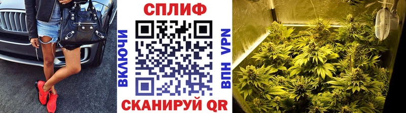 Конопля семена  маркетплейс телеграм  Челябинск 